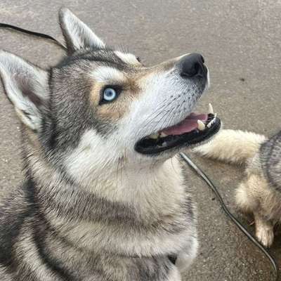 Sevgi &Benni's Profilbild