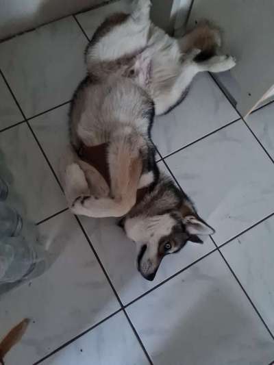 Fotochallenge Nr. 67: Euer Lieblingsbild-Beitrag-Bild