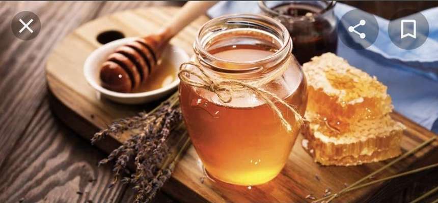 Wie heißt dein Hund?-Beitrag-Bild