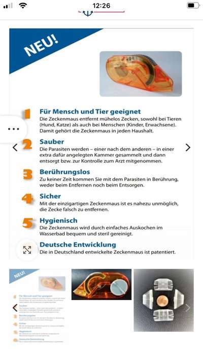 Zecken richtig entfernen-Beitrag-Bild