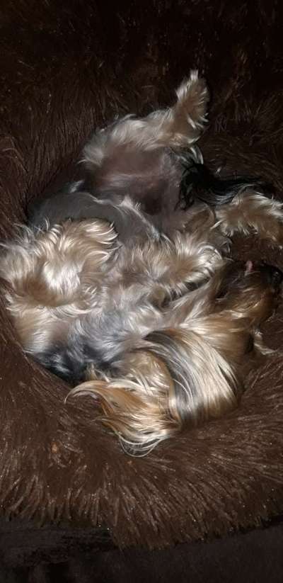 Foto Challenge Nr. 134-Beitrag-Bild