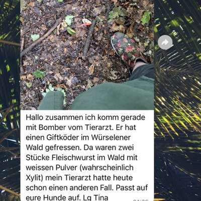 Giftköder-Fleischwurst mit weißem Pulver-Bild