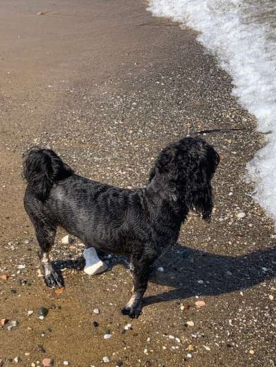 Fotochallenge Nr.100 Urlaubsimpressionen-Beitrag-Bild