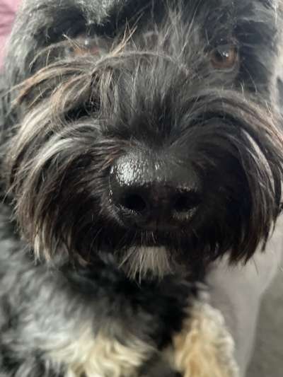 42. Handy Fotochallenge - Den richtigen Riecher haben-Beitrag-Bild