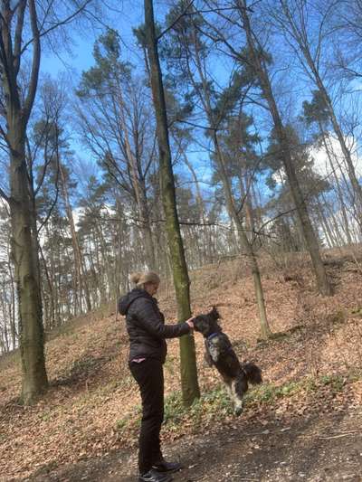 "Die eingefangene Magie des Augenblicks"-Beitrag-Bild