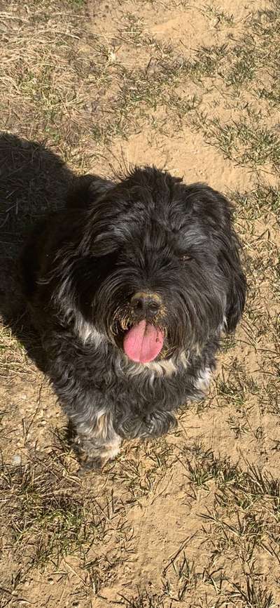 Doppelgänger gesucht !-Beitrag-Bild