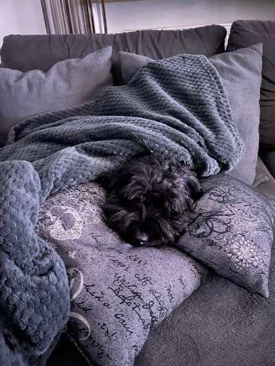 Schlafzeit!💖-Beitrag-Bild