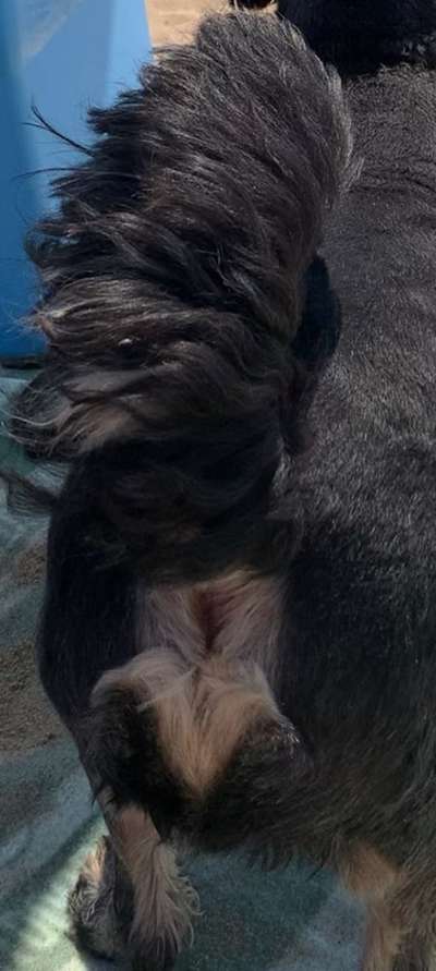 Außergewöhnliche Merkmale-Beitrag-Bild