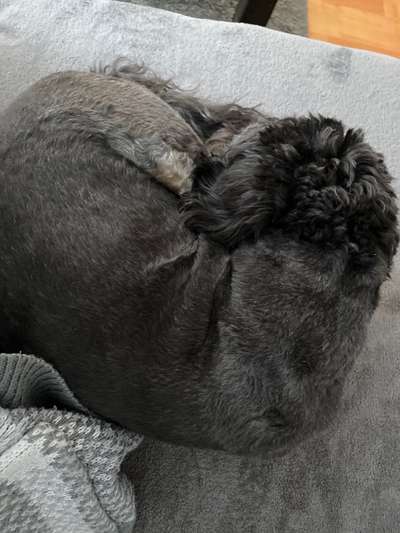 13. Farben-Fotochallenge "Grau"-Beitrag-Bild