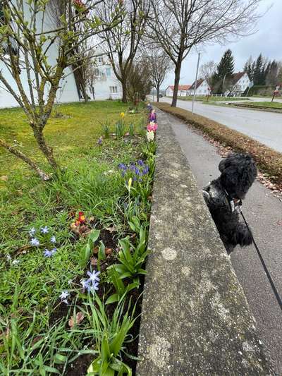 Farben Fotochallenge Thema ,,Grün"-Beitrag-Bild