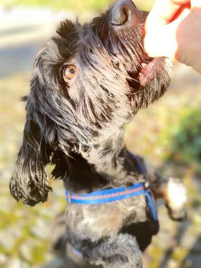 Handy-Foto Challange Nr. 10-Beitrag-Bild