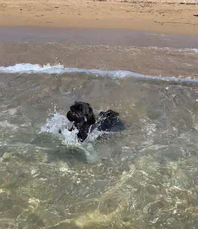 Foto Challenge Nr.133-Beitrag-Bild