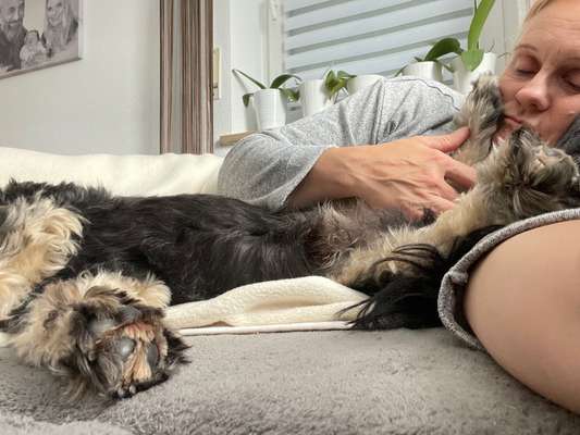 14. Handyfoto-Challenge: "BUDDY-Builder"-Beitrag-Bild