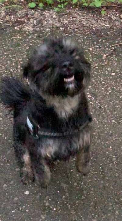 Handy-foto Challange nr. 11-Beitrag-Bild