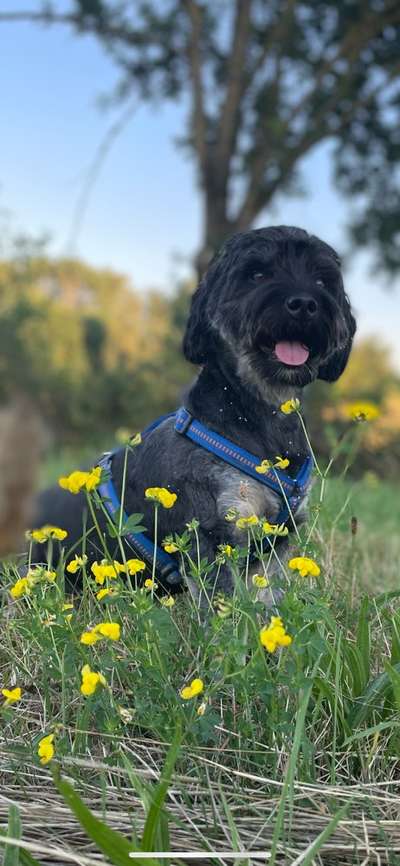 Doppelgänger gesucht !-Beitrag-Bild