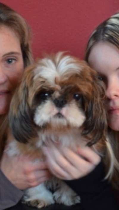 Unsere Fellnasen im Regenbogenland-Beitrag-Bild