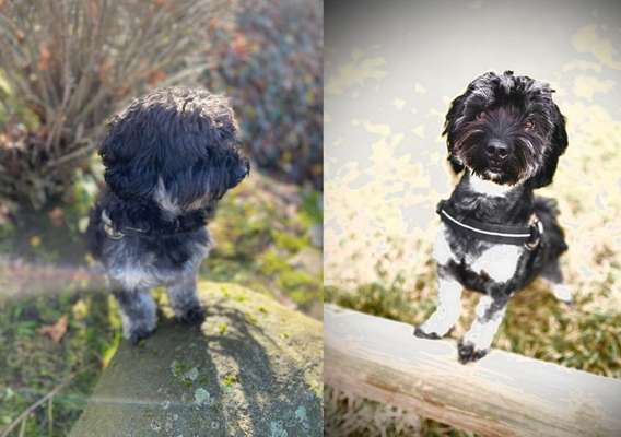 Vor dem Friseur - nach dem Friseur-Beitrag-Bild