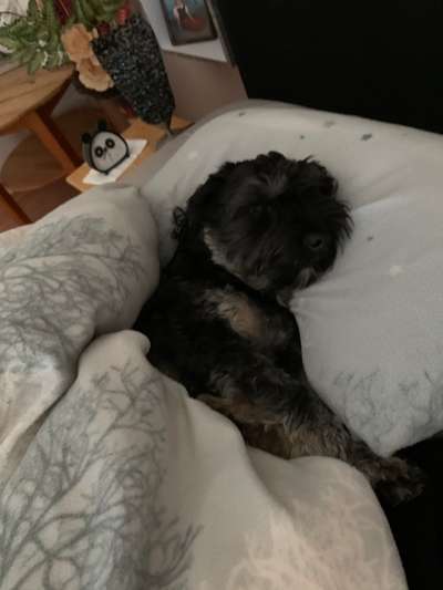 Die unbequemsten und lustigsten Schlafpositionen-Beitrag-Bild