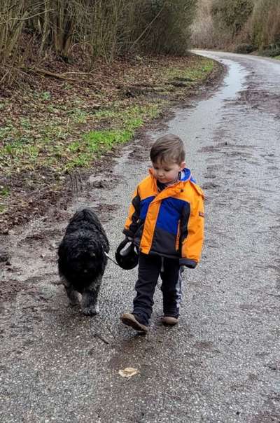 Dogorama Photo Challenge - an der Leine-Beitrag-Bild