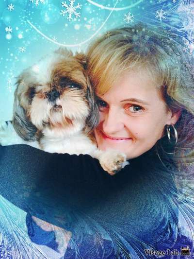 Unsere Fellnasen im Regenbogenland-Beitrag-Bild