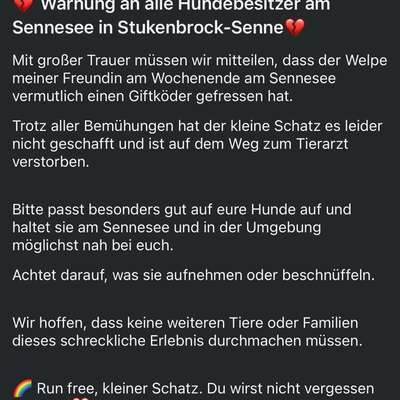 Giftköder-Giftköder am Sennesee-Bild