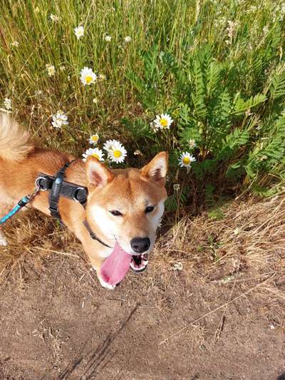 Fotochallange 84-Beitrag-Bild