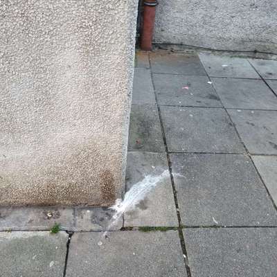 Giftköder-Pulver im gesamten Heusteigviertel-Bild