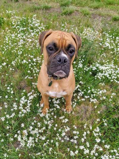 Fotochallenge No. 26                                     Wald und Wiese-Beitrag-Bild