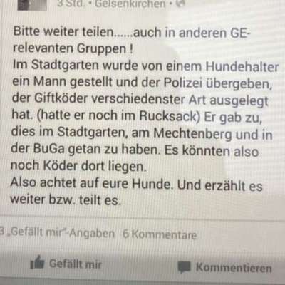 Giftköder-Giftköder-Bild