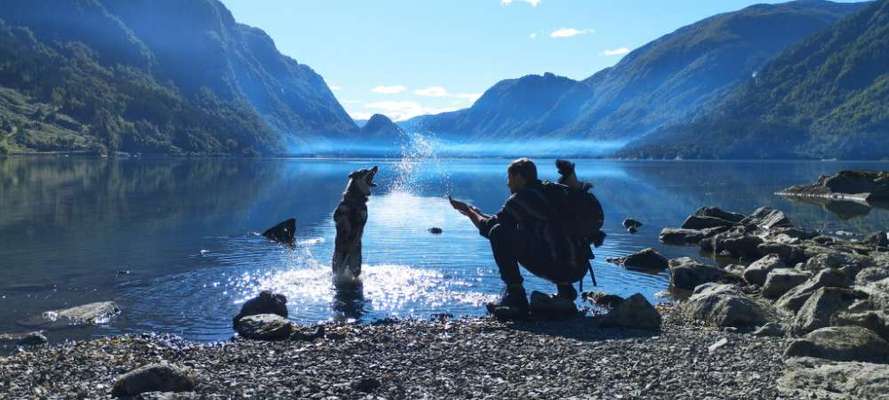 Fotowettbewerb Natur-Beitrag-Bild