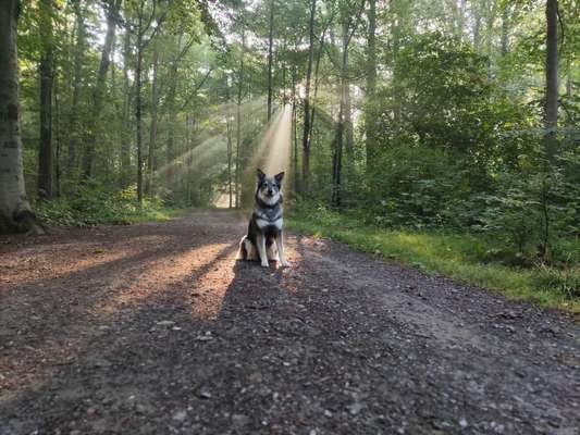 Fotowettbewerb Natur-Beitrag-Bild
