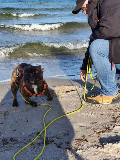 Dogorama Photo Challenge - Fail/Outtakes-Beitrag-Bild