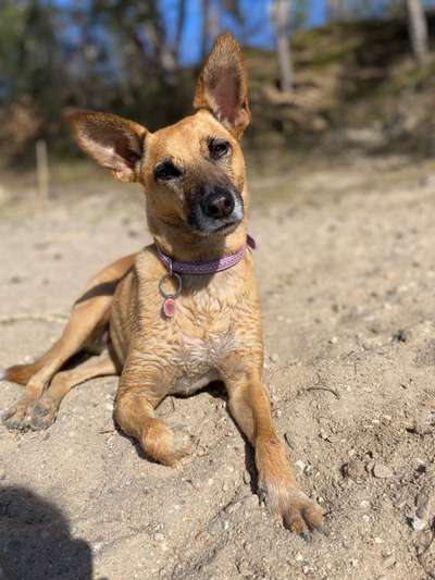 Lieblingsbild :D-Beitrag-Bild