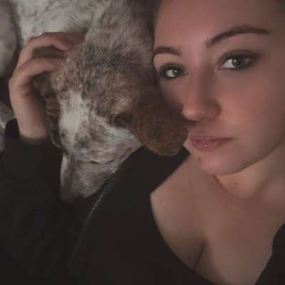 Hundetreffen-Spiel- und Gassitreffen