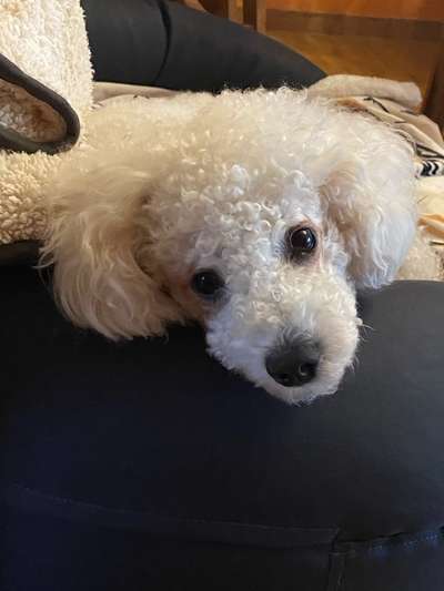 Starker Tränenfluss und Schlieren in den Augen-Beitrag-Bild