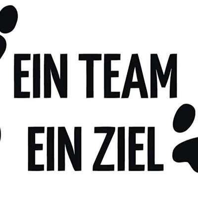 Hundetreffen-Mantrailing-Bild