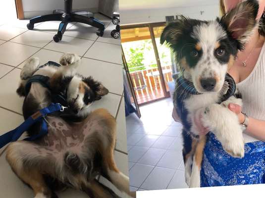 Außergewöhnliche Merkmale-Beitrag-Bild