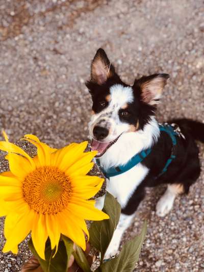 Handy-Foto Challange Nr. 10-Beitrag-Bild