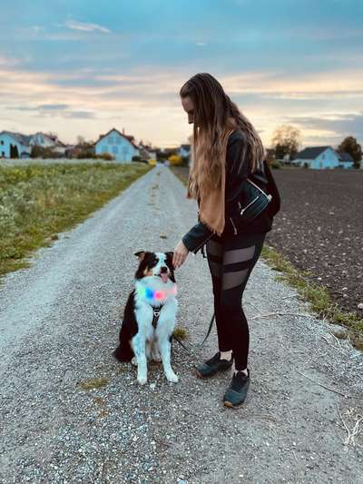 Tongue Out Tuesday-Beitrag-Bild