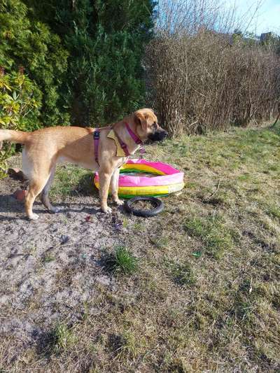 Wald Bild-Beitrag-Bild