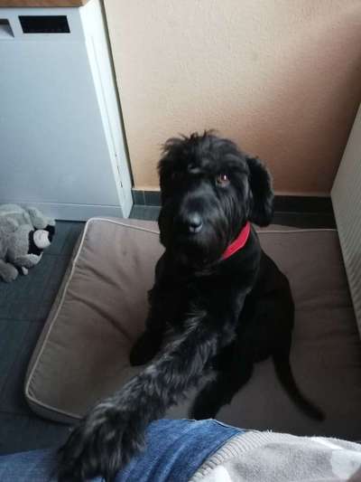 Arthrose-Beitrag-Bild