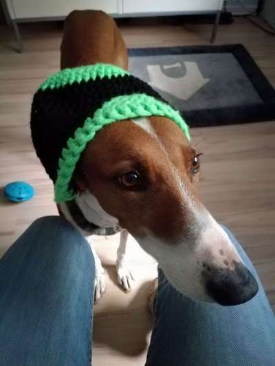 Fotochallange 84-Beitrag-Bild