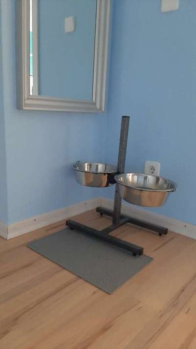 Windhunde - Treffen der besonderen Schönheiten
HERZLICH WILLKOMMEN-Beitrag-Bild