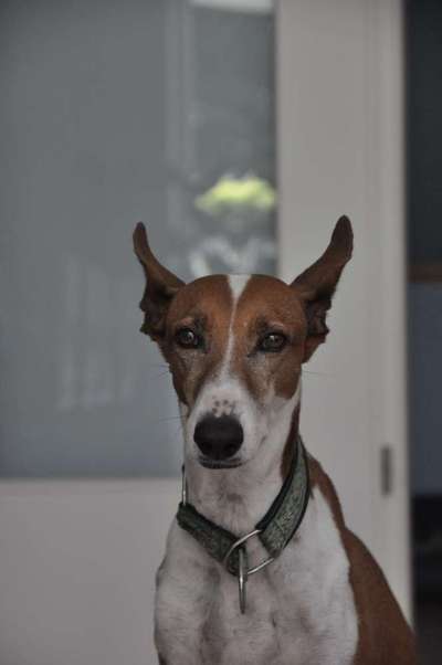 Lieblingsbild :D-Beitrag-Bild