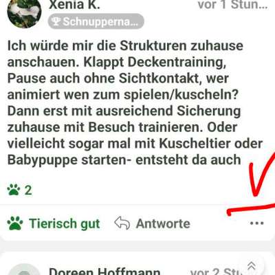 Hund ist eifersüchtig auf Menschen?-Beitrag-Bild
