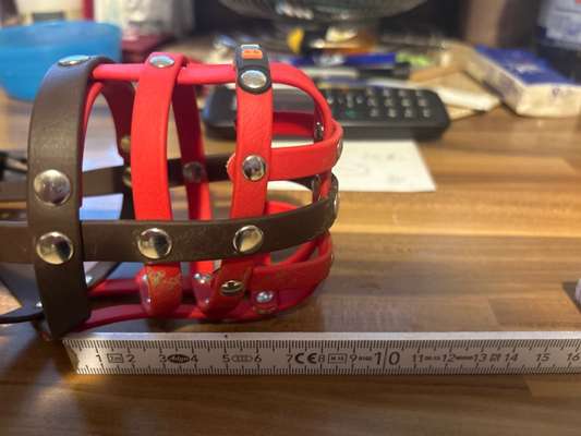 Maulkorb-Beitrag-Bild