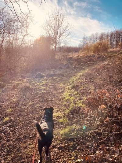 Farben Fotochallenge Sonnenlicht-Beitrag-Bild
