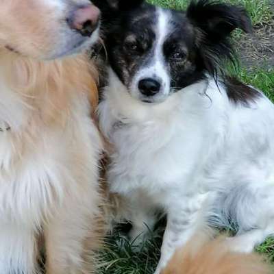 aktuelles Foto Gruppe Wandern und Outdoor