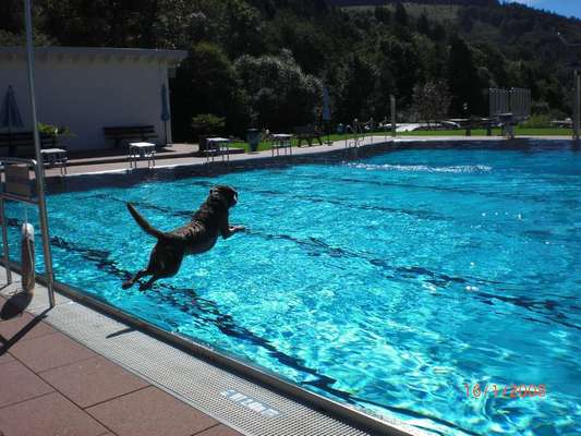 Foto Wettbewerb-Beitrag-Bild