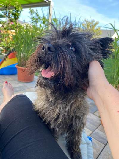 Tongue Out Tuesday-Beitrag-Bild